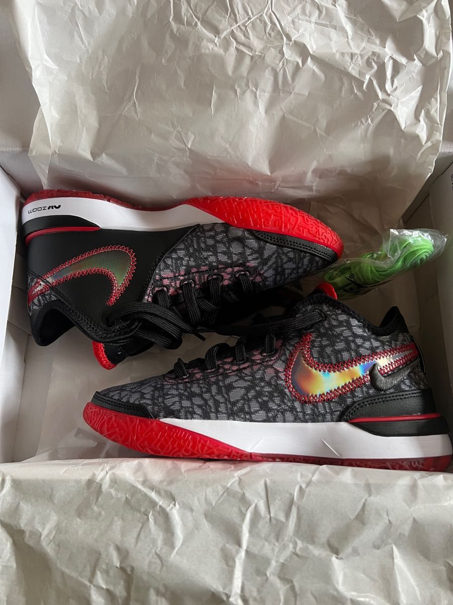 NIKE レブロンNXXT Gen EP - arborconnect.co.nz