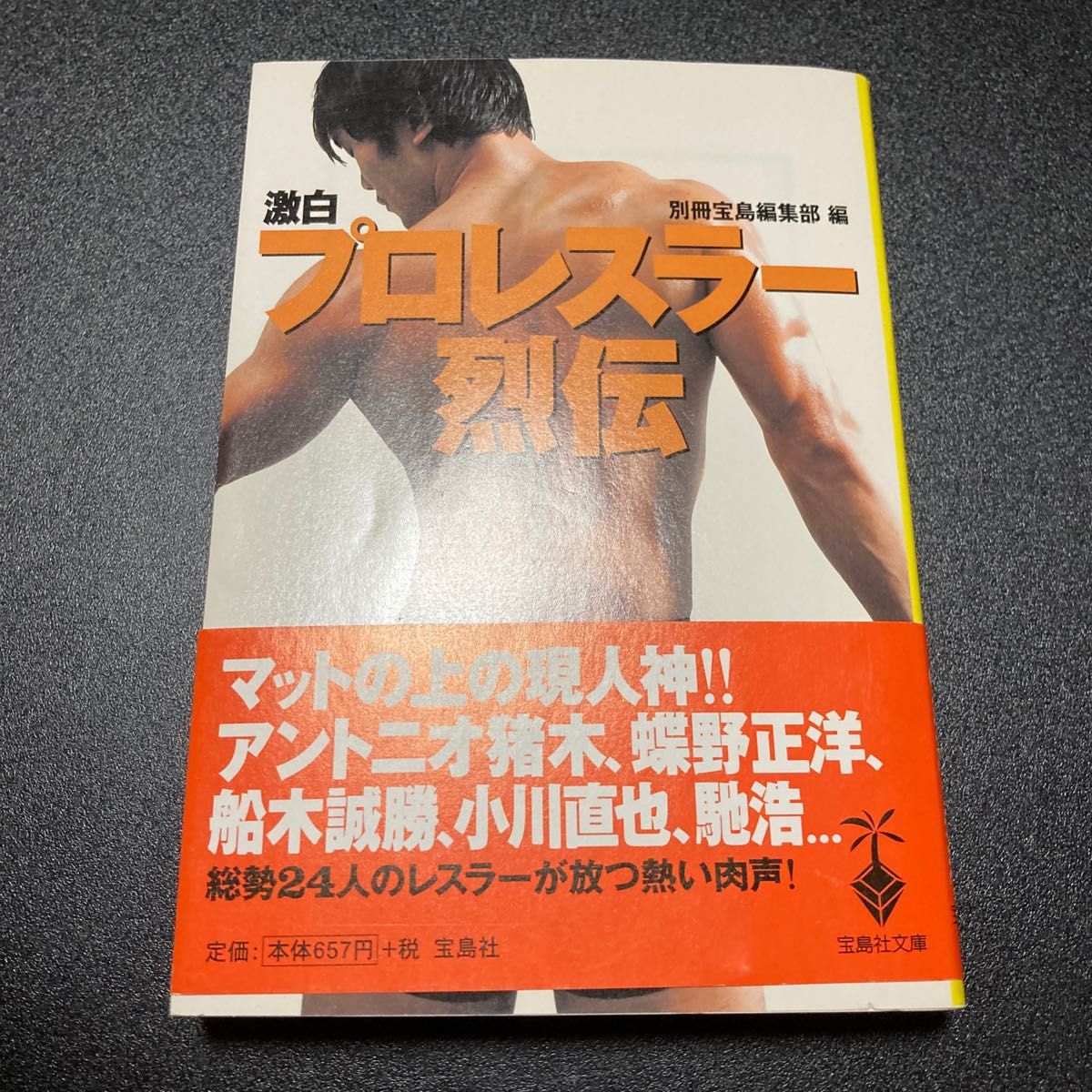 激白プロレスラー烈伝 （宝島社文庫） 別冊宝島編集部／編