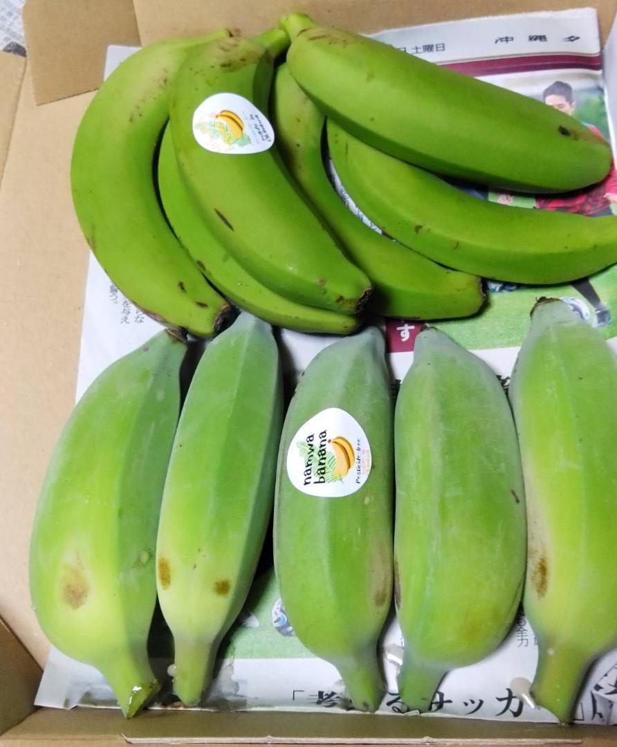 期間限定特価！収穫したて！沖縄北部産 台湾系島バナナ　コンパクトセット！