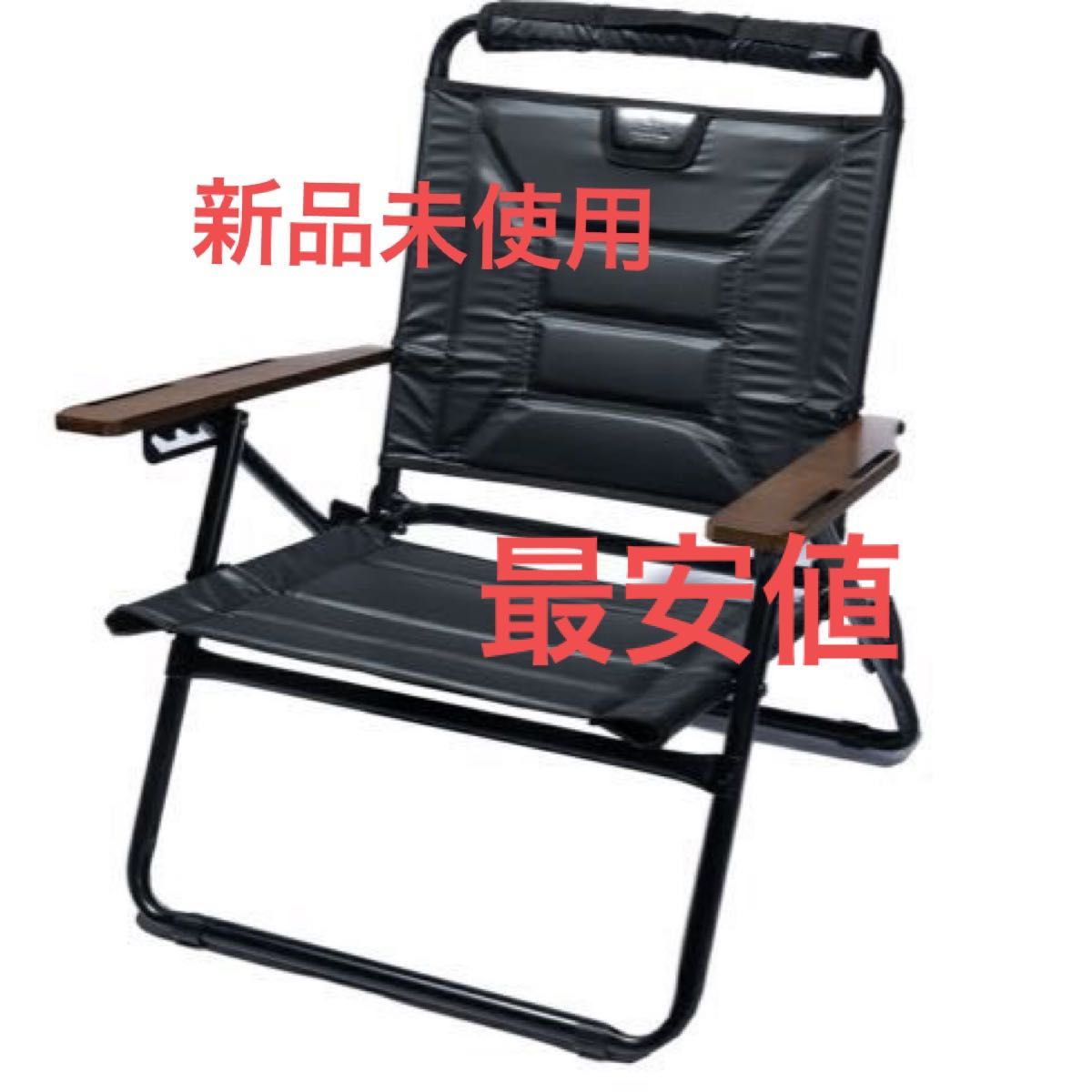 最終決算 【新品未使用】ネイタルデザイン カーミットチェア カモ