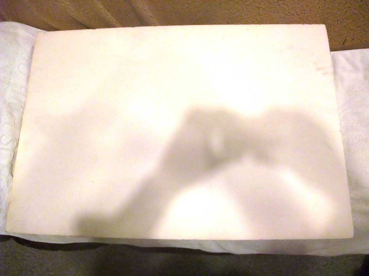 アールビバン主催！ファイナルファンタジー原画で有名な天野喜孝展で実際に使用した告知パネル「吸血鬼ハンターＤ」縦90ｃｍ×横６０ｃｍ