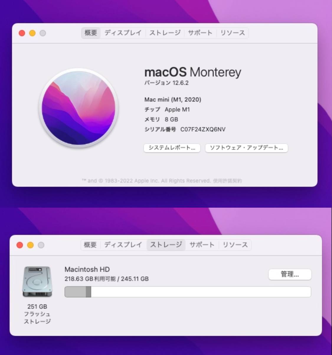 【１円〜】中古 美品 アップル Apple Mac mini M1 8GB 256GB Apple認定整備済製品 FGNR3J/A_画像8