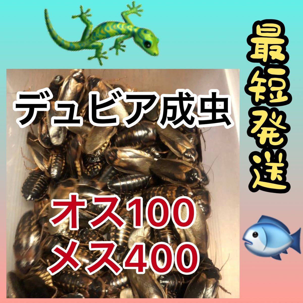 小物などお買い得な福袋 値下げ中! ´艸`成送料無料