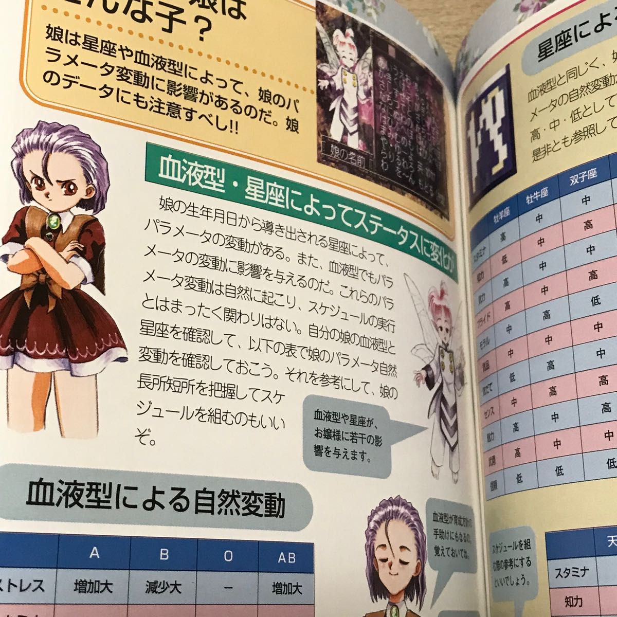 PS攻略本 プリンセスメーカーゆめみる妖精 プレイヤーズガイド PS攻略本 プリンセスメーカーゆめみる妖精 プレイヤーズガイド