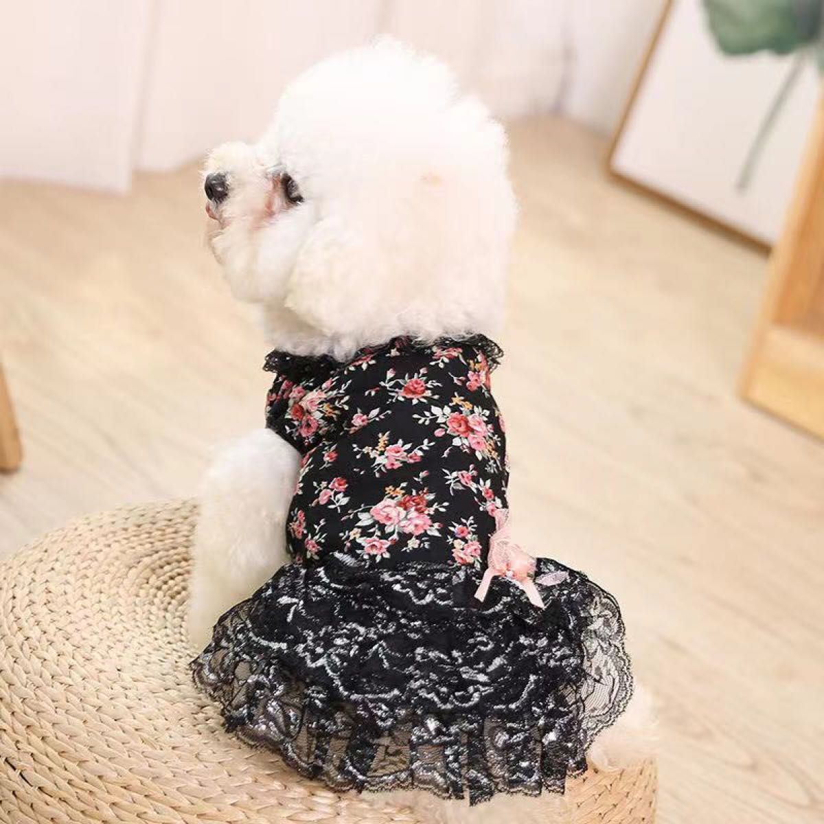 犬服　上品　レース　ティアードワンピ　黒