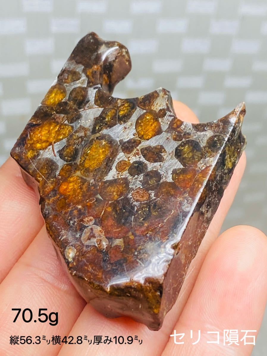 パラサイト隕石 70.5g メテオライト 隕石 石鉄隕石 セリコ隕石 セリコ 高品質 56.3㍉ 宇宙パワー