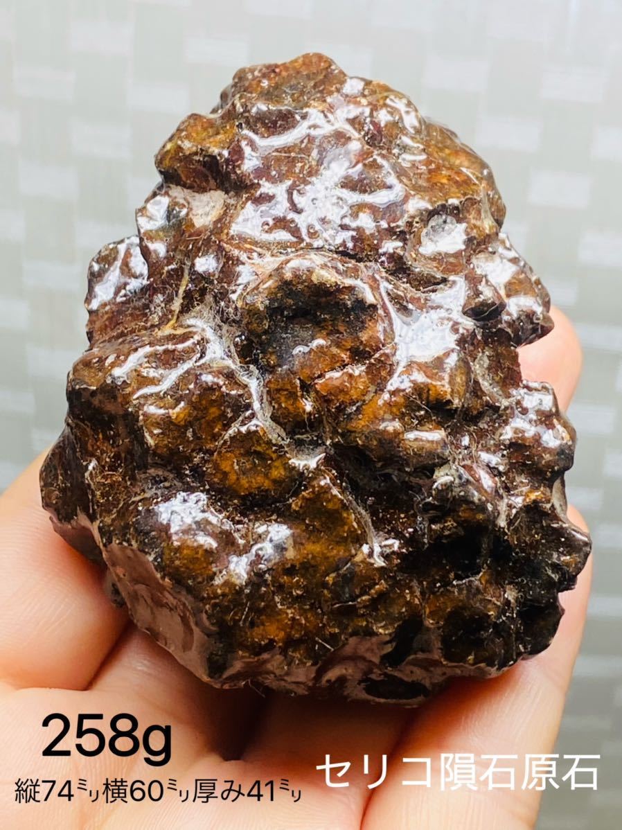 パラサイト隕石 258g 隕石 メテオライト セリコ隕石 希少 宇宙パワー