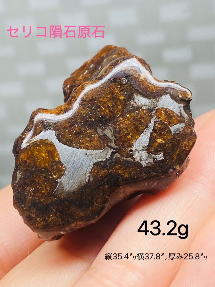 パラサイト隕石 43 2g 隕石 メテオライト セリコ隕石 希少 宇宙パワー