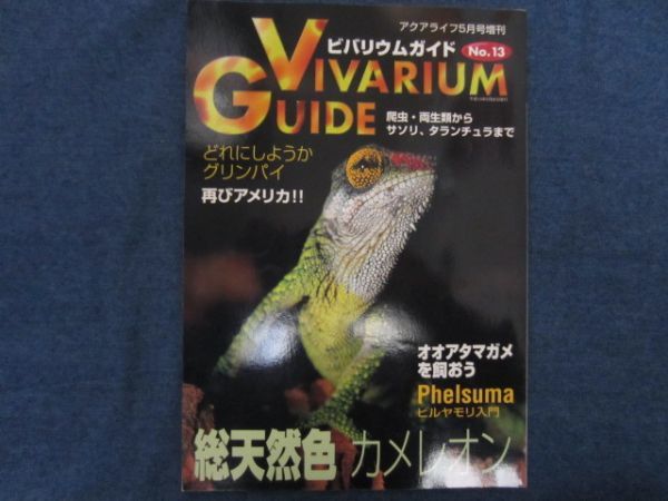 bi burr um guide No.13 total natural color chameleon VIVARIUM GUIDE reptiles amphibia 