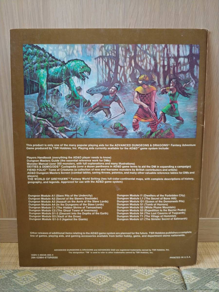 海外版 1982年 Dungeons & Dragons / Against The Cult of The Reptile God - Dungeon Module N1 激レア_画像5