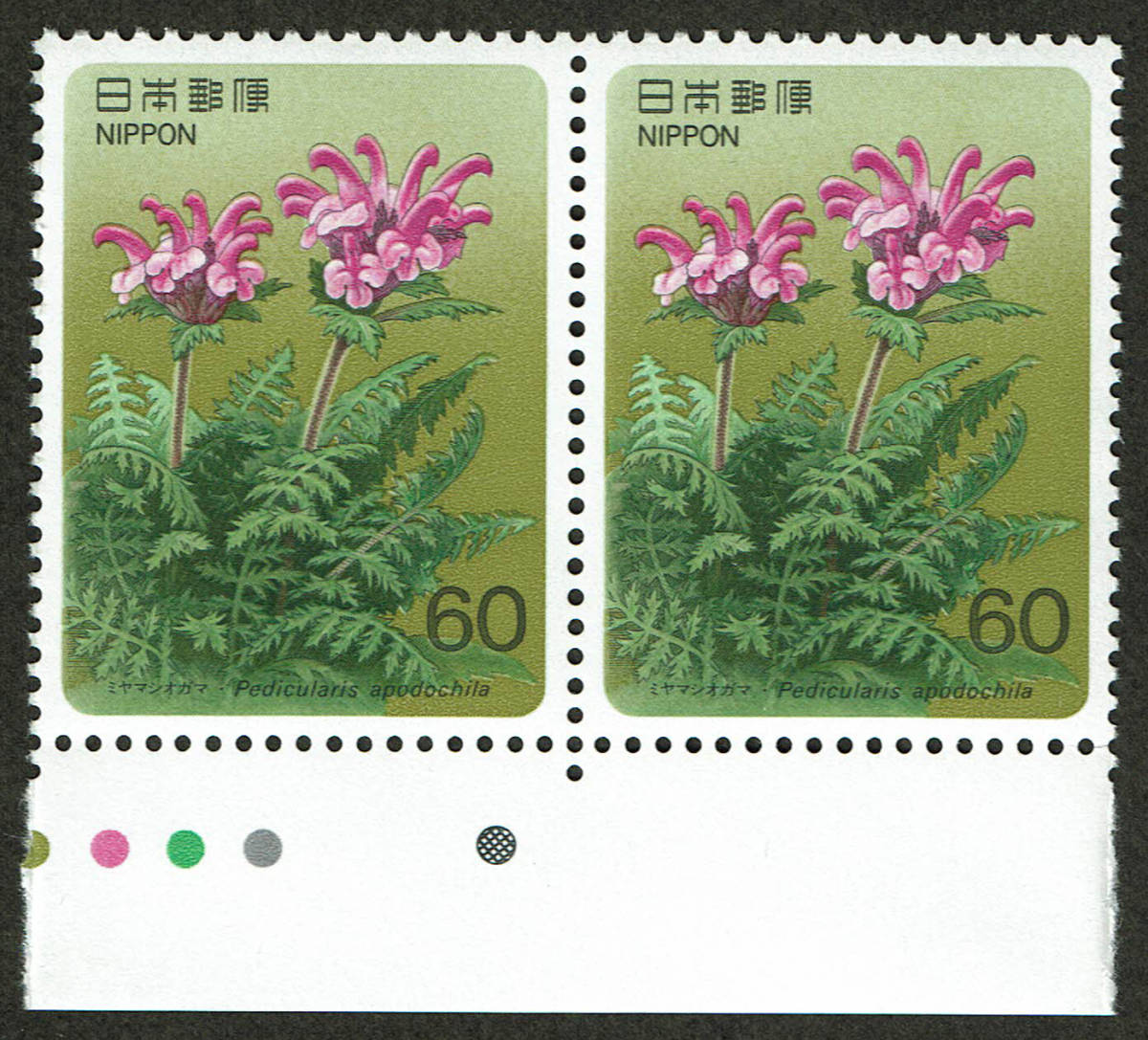 【未使用】 高山植物シリーズ 第7集 ミヤマシオガマ 60円切手 60円×2枚  切手 ♪の画像1