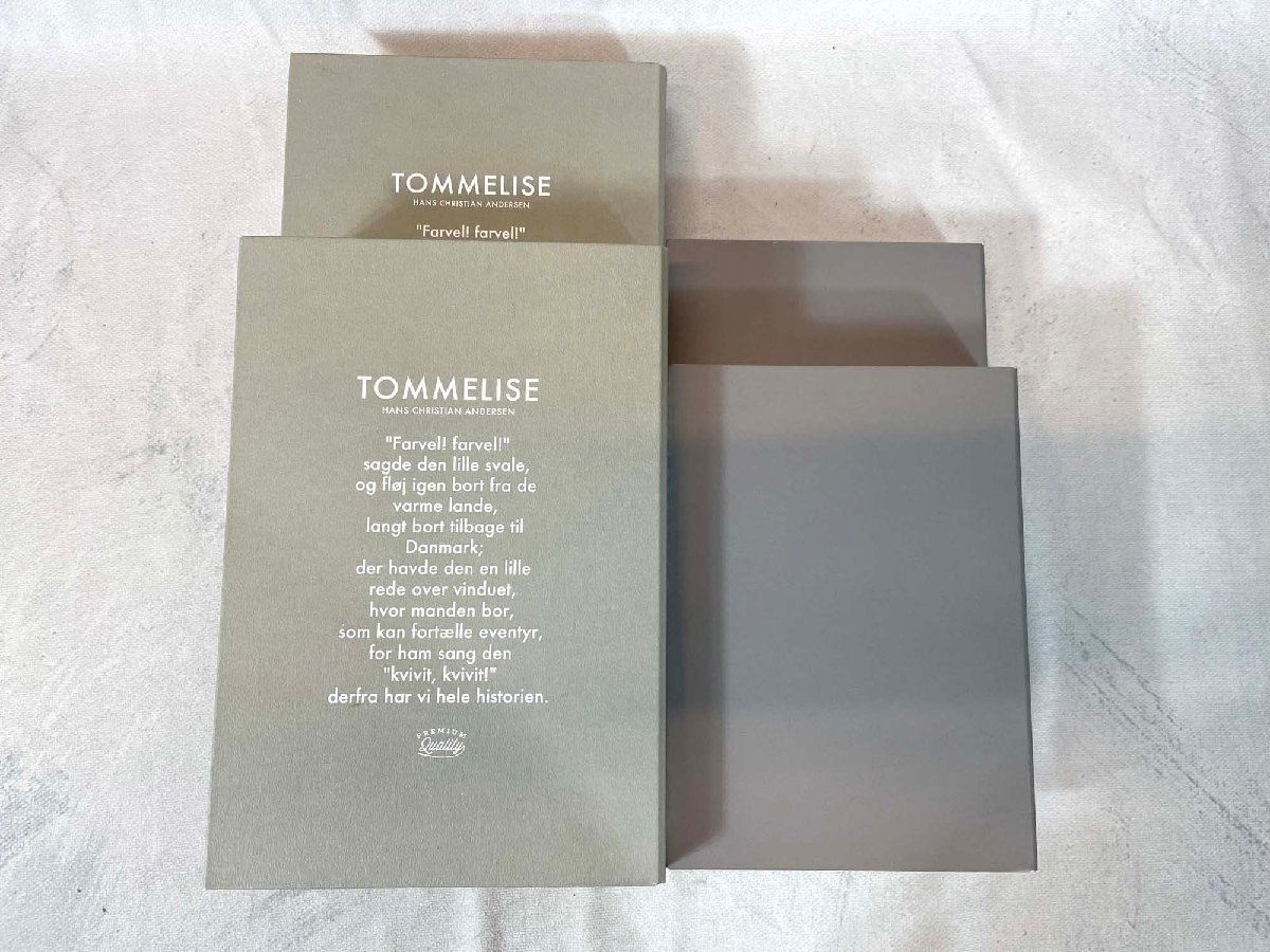 TS3839_Ts* модель R выставленный товар * интерьер смешанные товары муляж книжка 4 шт. комплект * большой W178 H261 D47* маленький W155 H216 D32*