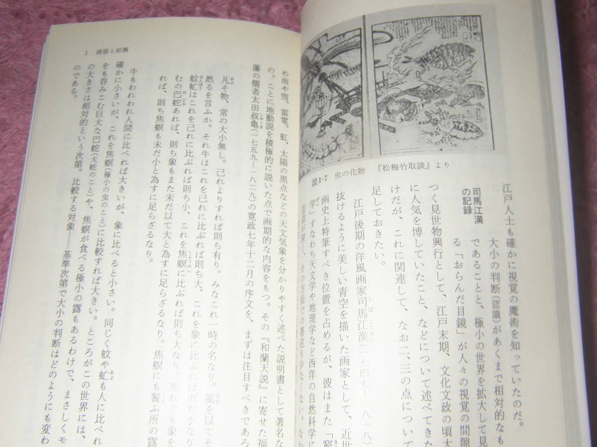 日本絵画のあそび　岩波新書　冴えた技巧に支えられて奔放に展開した日本絵画の面白さを書き下ろしたもうひとつの日本の文化論_画像2