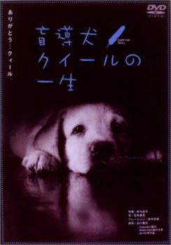 盲導犬 クイールの一生 グーッド グーッド レンタル落ち 中古 DVDの画像1