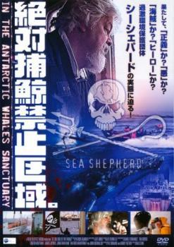 絶対捕鯨禁止区域 IN THE ANTARCTIC WHALES SANCTUARY【字幕】 レンタル落ち 中古 DVD_画像1