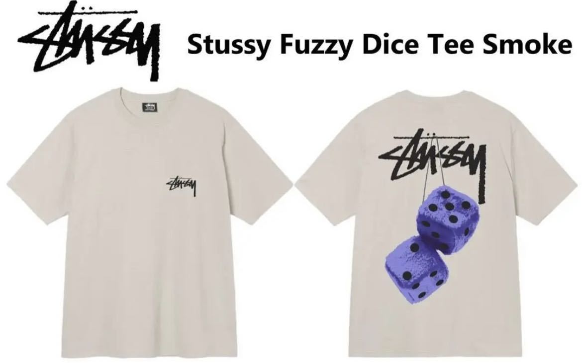 ステューシー stussyメンズ レディース ダイス サイコロ 半袖 T ステューシー stussyメンズ レディース ダイス サイコロ 半袖 T
