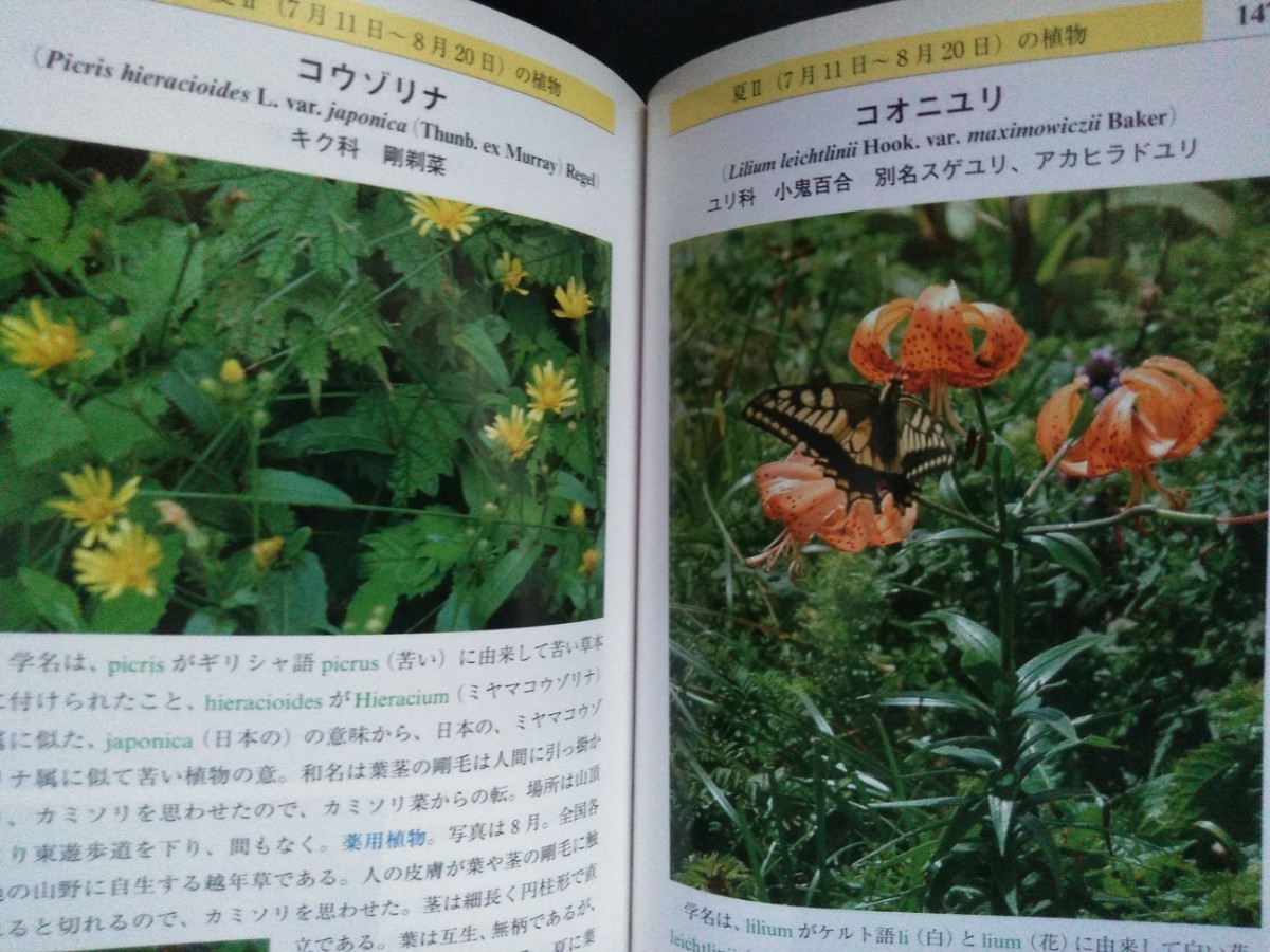  Okawa . virtue [. blow mountain. plant ] guidebook # illustrated reference book # four season. . flower # height mountain # fields and mountains grass # tree # Japan 100 name mountain # mountain climbing # Gifu prefecture * Shiga prefecture / the first version * obi attaching 