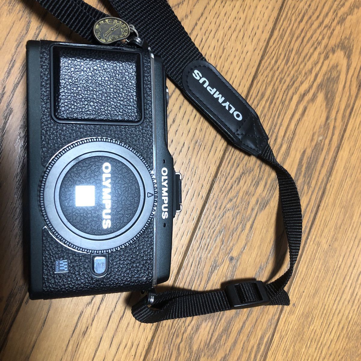 信頼】 【used】OLYMPUS PEN E‐P2 本体と革ケース オリンパス