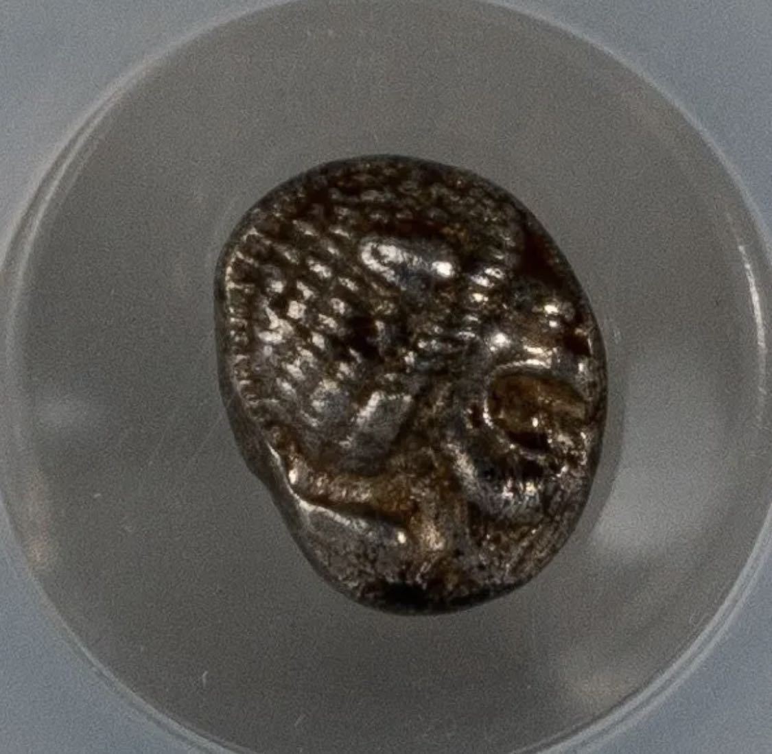 古代ギリシャ イオニア国 ライオンオボル銀貨 6th~5thBC NGC AU