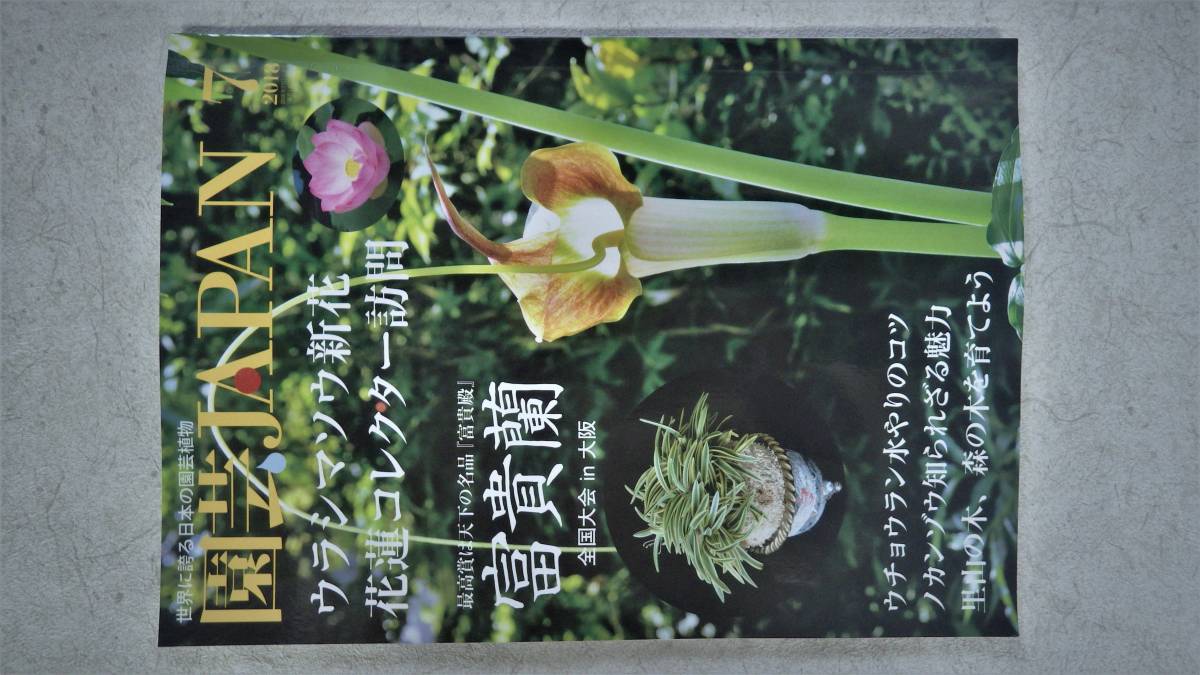 山野草、翠紅、（すいこう）、陽を採る事で驚きの赤花に。ウラシマソウ、千葉県産、テンナンショウ、浦島草、うらしま草_園芸雑誌の表紙に掲載された翠紅の花