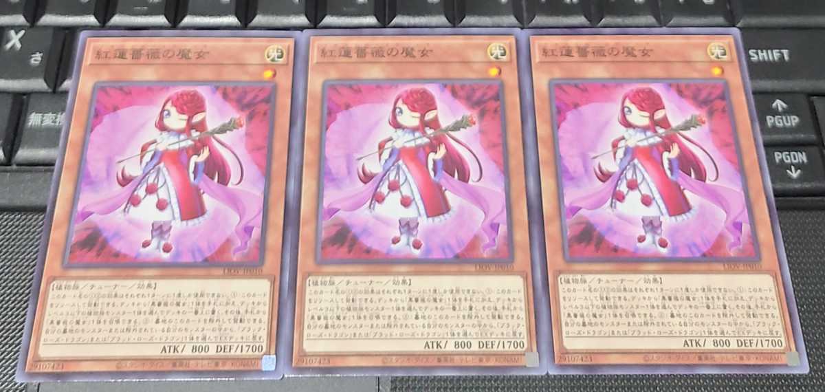 遊戯王　紅蓮薔薇の魔女　LIOV　ノーマル　３枚セット　即決_画像1