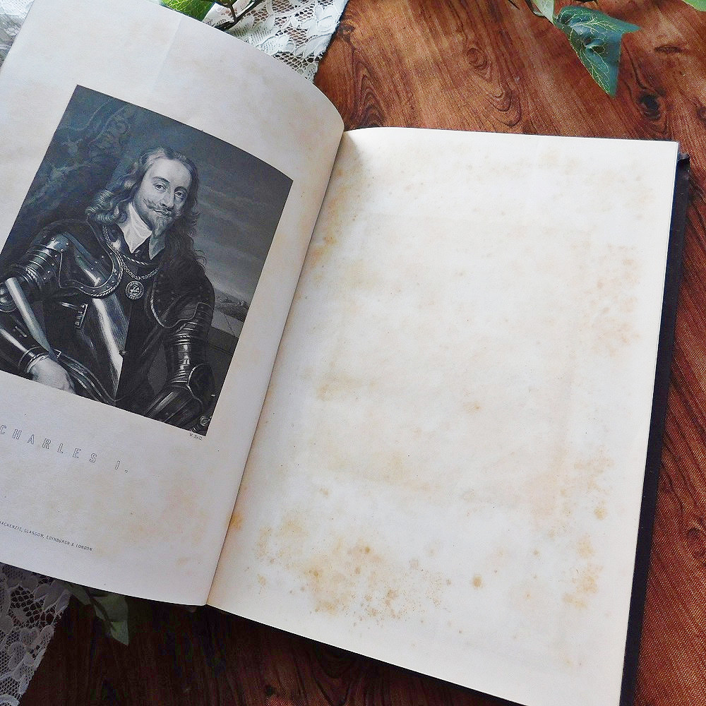 ゜+ 19世紀 英国の歴史書 アンティークブック ヴィンテージ本 ゜+ 19世紀 英国の歴史書 アンティークブック ヴィンテージ本