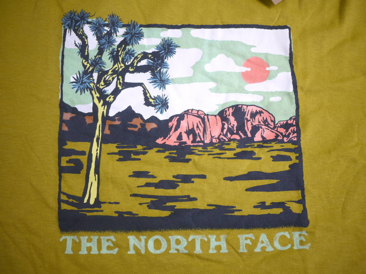 最新モデル 新品 海外限定 XL/THE NORTH FACE ノースフェイス グラフィック プリント Tシャツ / SS GI TEE ミネラルゴールドの画像4