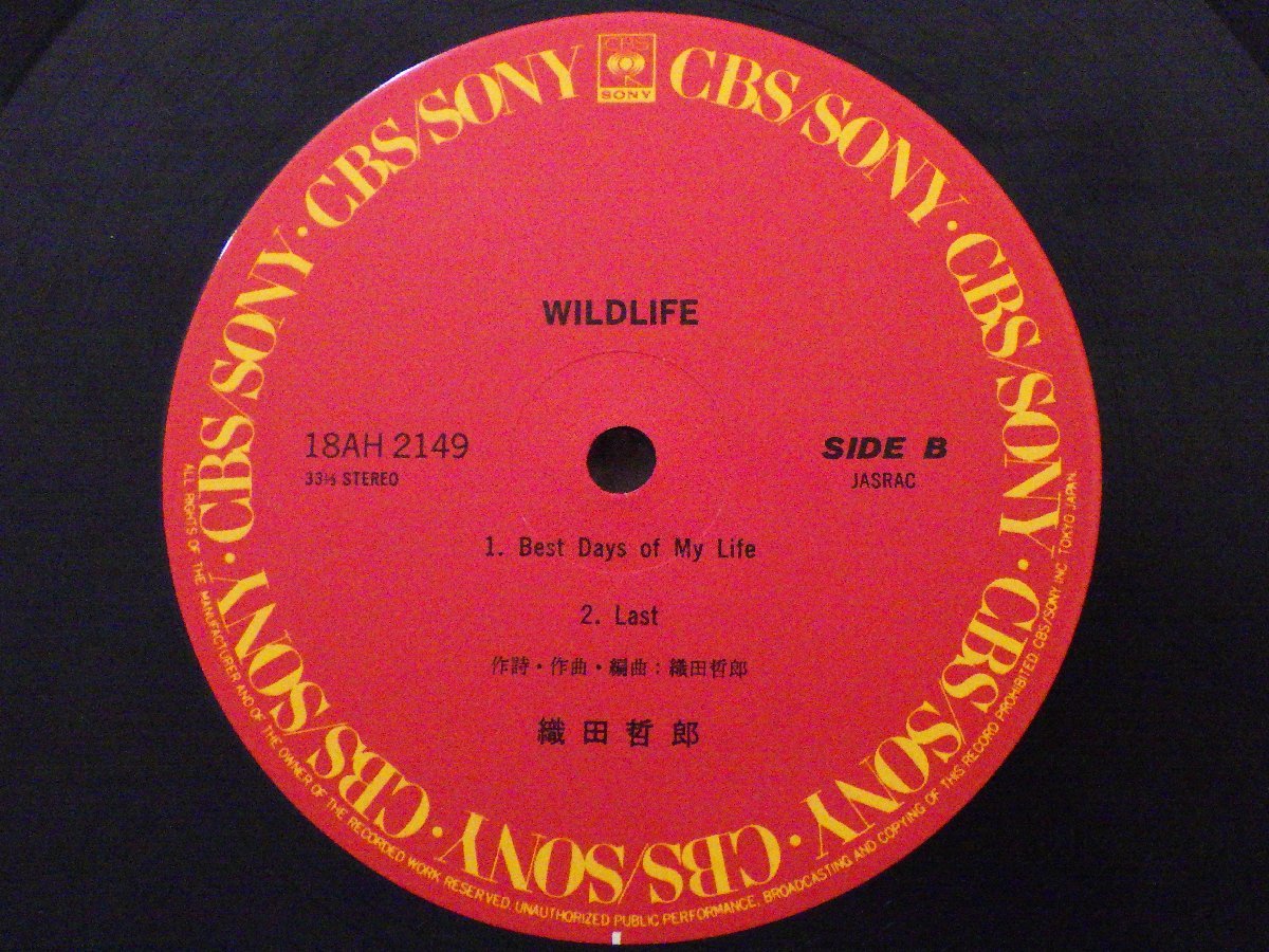 LP レコード 帯 織田哲郎 WILDLIFE ワイルドライフ 【E+】 E486Dの画像5