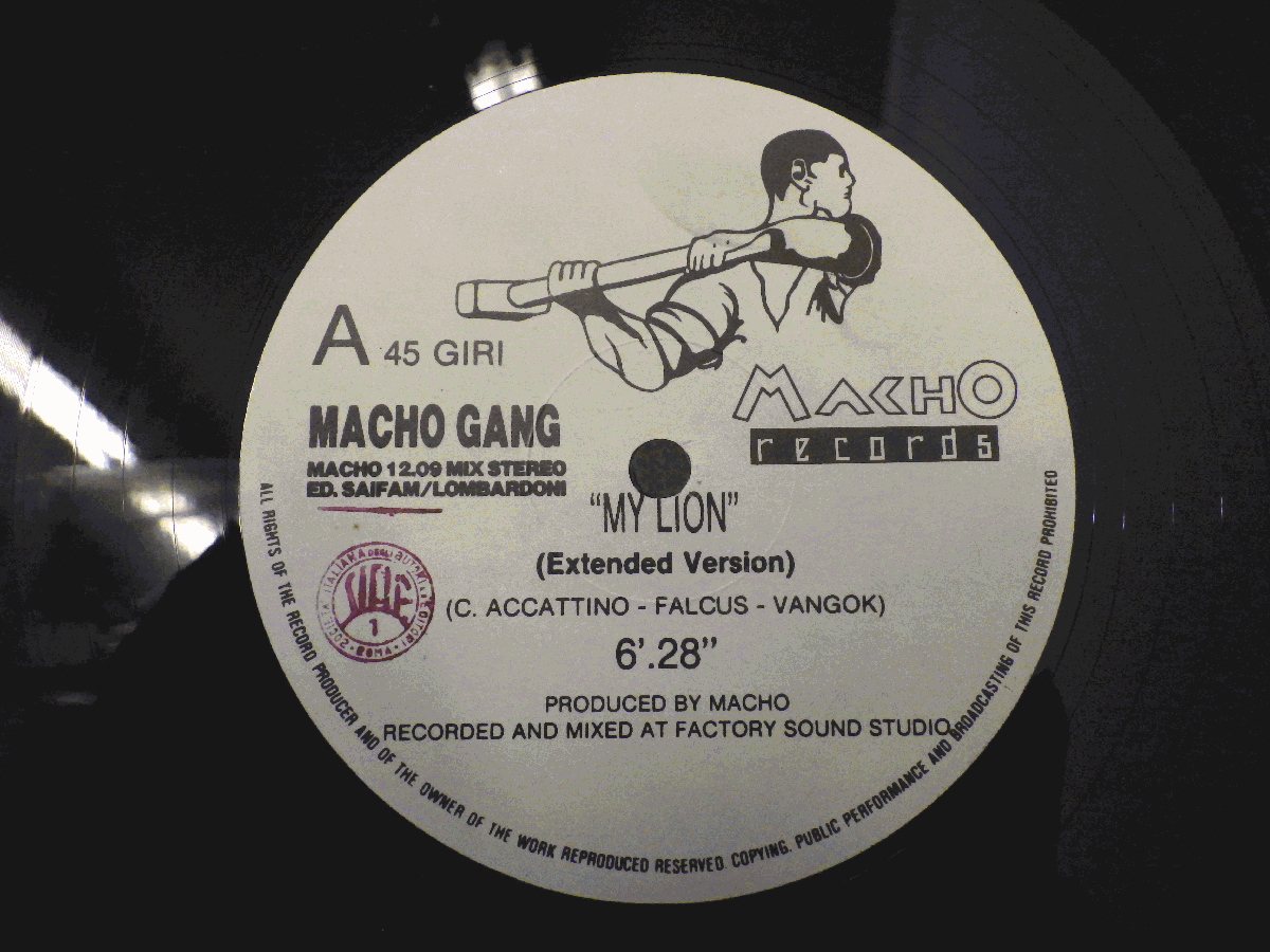 レコード MACHO GANG マッチョ ギャング MY LION マイ ライオン 【E+】 E1322H_画像3