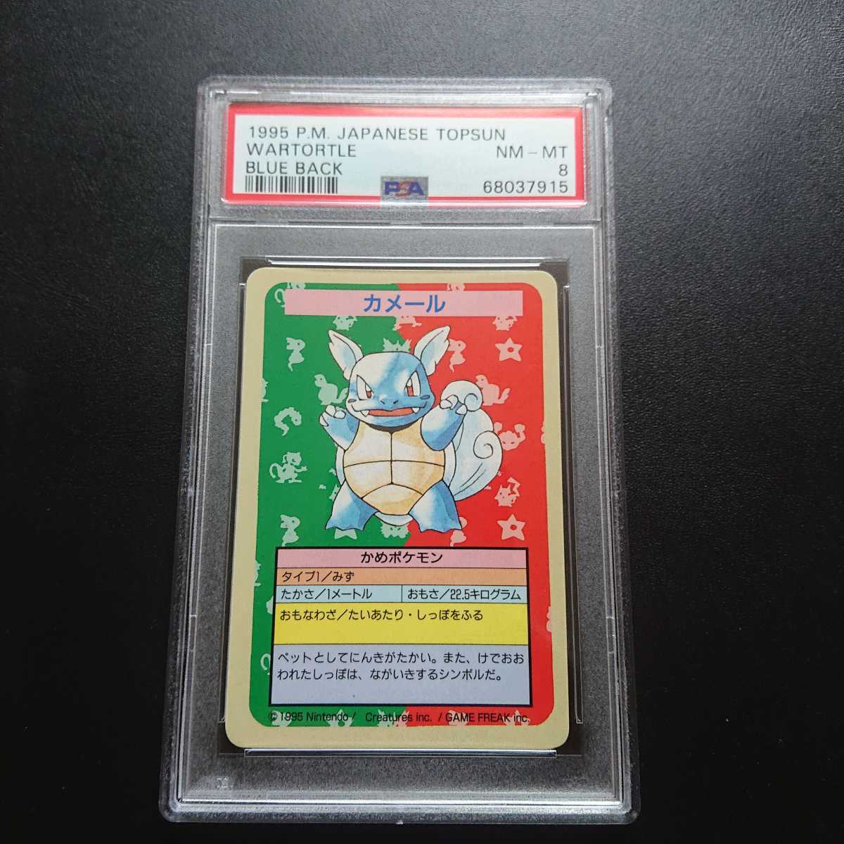 PSA8 ポケモンカードダス トップサン ナンバー無しエラー品 カメール ポケットモンスター