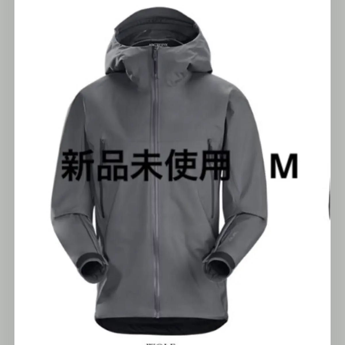 超希少 新品未使用 アークテリクス リーフ ARC'TERYX LEAF アルファLT