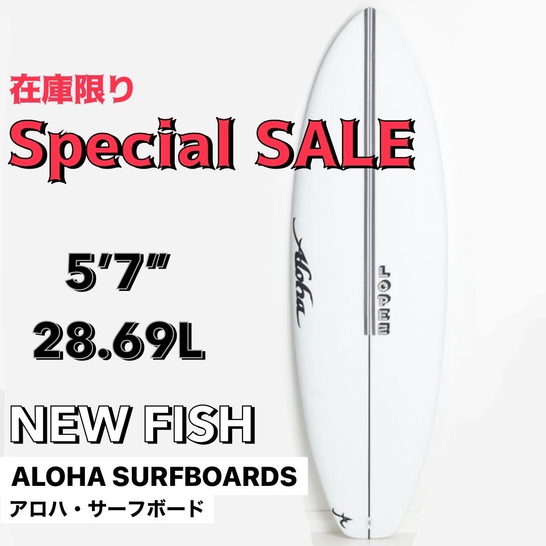 国内在庫有り ショートボード - libreriareginacoeli.com