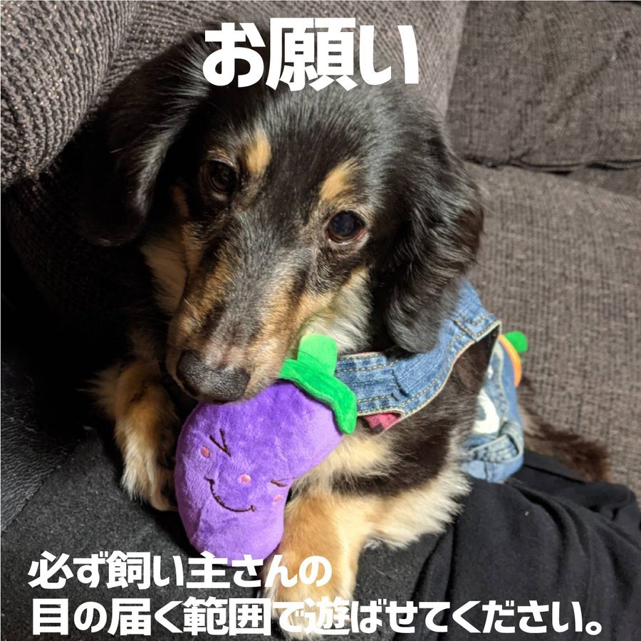 犬 おもちゃオモチャ Aタイプ ぬいぐるみ セット ペット用品 10点 ペットぬいぐるみおもちゃ ストレス発散 子犬・小型犬・中型犬に適応_画像9