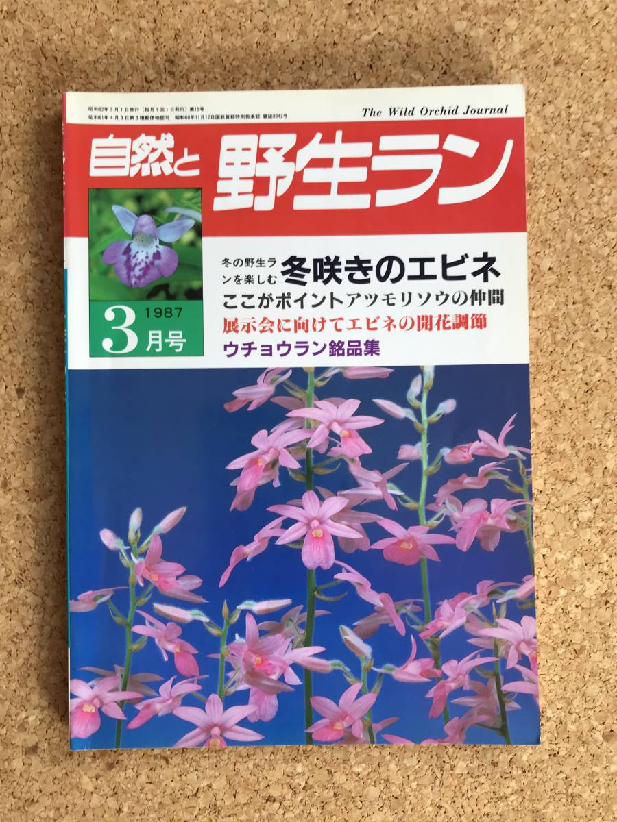  природа .. сырой Ran 1987 год 3 месяц номер креветка neuchou Ran холод орхидея * садоводство JAPAN
