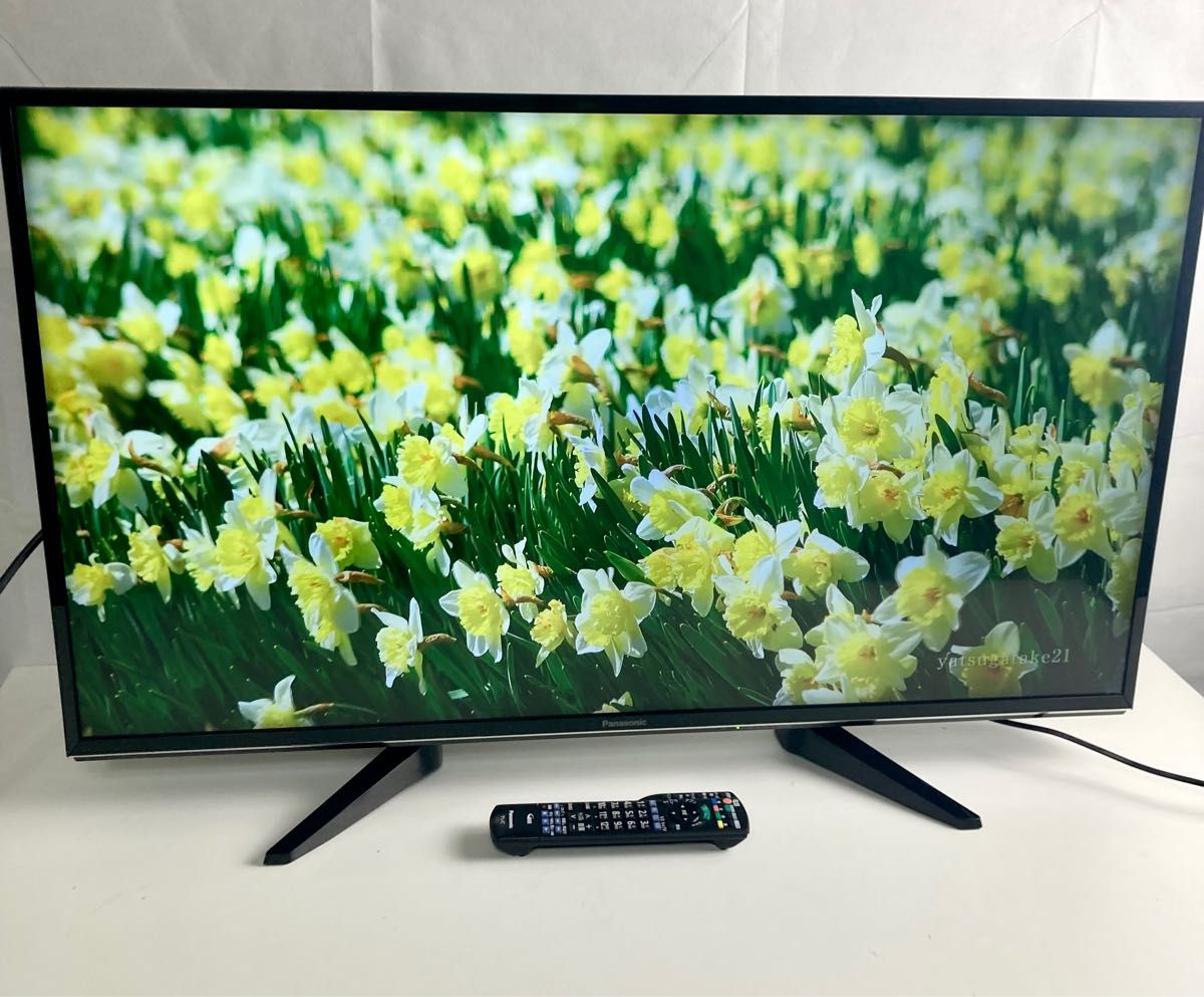 高画質4Kビエラ／無線LAN内蔵】43型　液晶テレビ　TH-43EX600