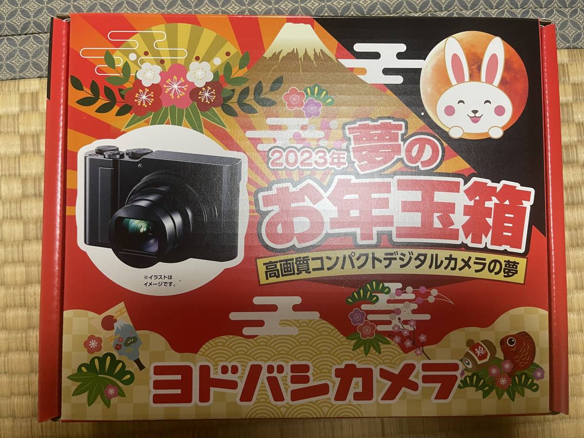 新品 未使用 LUMIX TX DC-TX2-K Panasonic ヨドバシカメラ 高画質