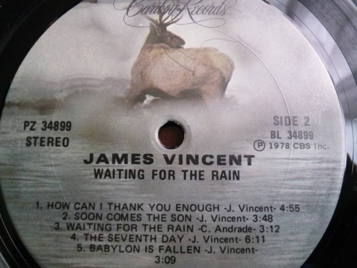 James Vincent『Waiting For The Rain』LP AOR_画像4