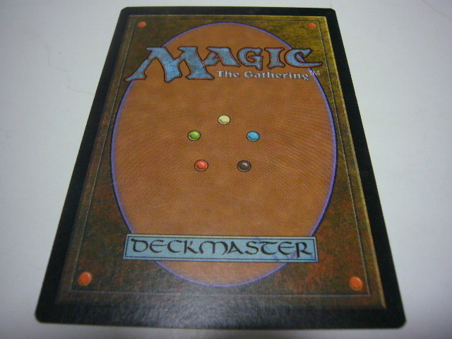 マジック MAGIC トレーディングカード Forest_画像2