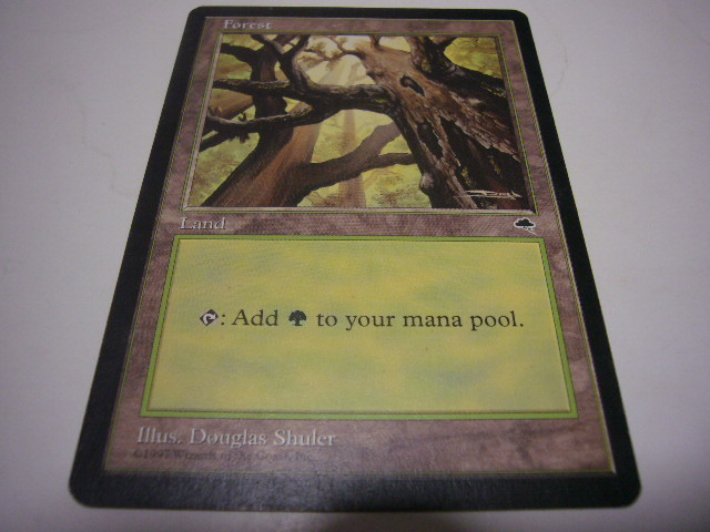 マジック MAGIC トレーディングカード Forest_画像1