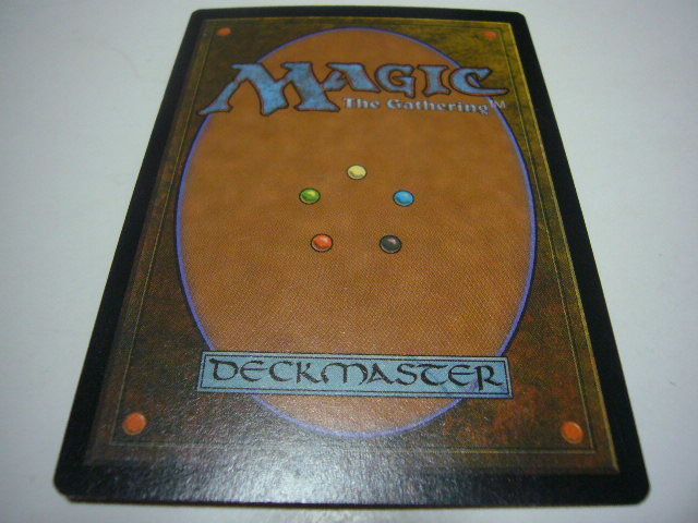 マジック MAGIC トレーディングカード 西の聖騎士の画像2
