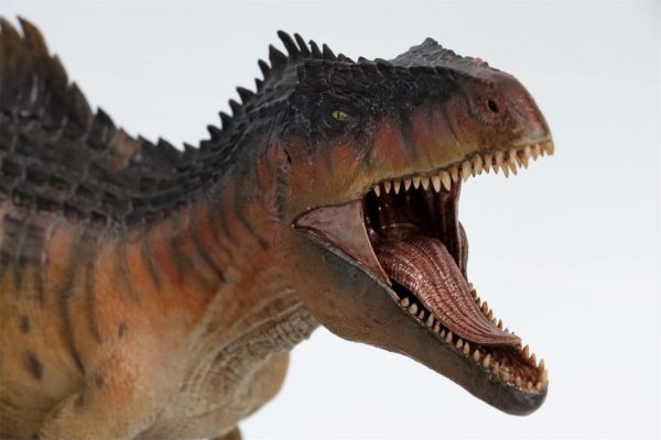 Nanmu 本心楠改 ギガノトサウルス 2.0 恐竜 大型 肉食 リアル フィギュア プラモデル おもちゃ 模型 プレゼント プレミアム タイホンDX版_画像4