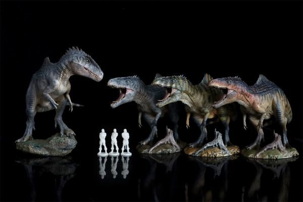 Nanmu 本心楠改 ギガノトサウルス 2.0 恐竜 大型 肉食 リアル フィギュア プラモデル おもちゃ 模型 プレゼント プレミアム タイホンDX版_画像5