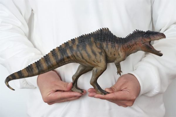 Nanmu 本心楠改 ギガノトサウルス 2.0 恐竜 大型 肉食 リアル フィギュア プラモデル おもちゃ 模型 プレゼント 44cm級 タイホン 通常版_画像1