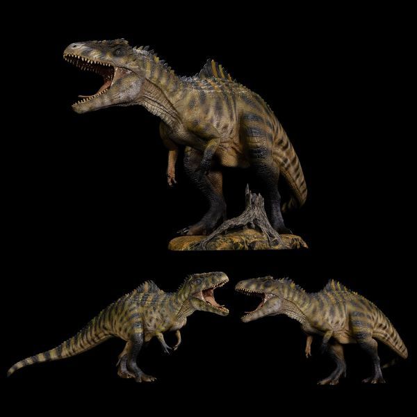 Nanmu 本心楠改 ギガノトサウルス 2.0 恐竜 大型 肉食 リアル フィギュア プラモデル おもちゃ 模型 プレゼント プレミアム グスタフ DX版_画像9