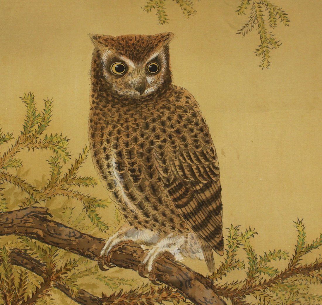 模写 上村松篁筆梟図掛軸 肉筆絹本 名家伝世品(花鳥、鳥獣)|売買されたオークション情報、ヤフオク! の商品情報をアーカイブ公開 珍しいフクロウの筆