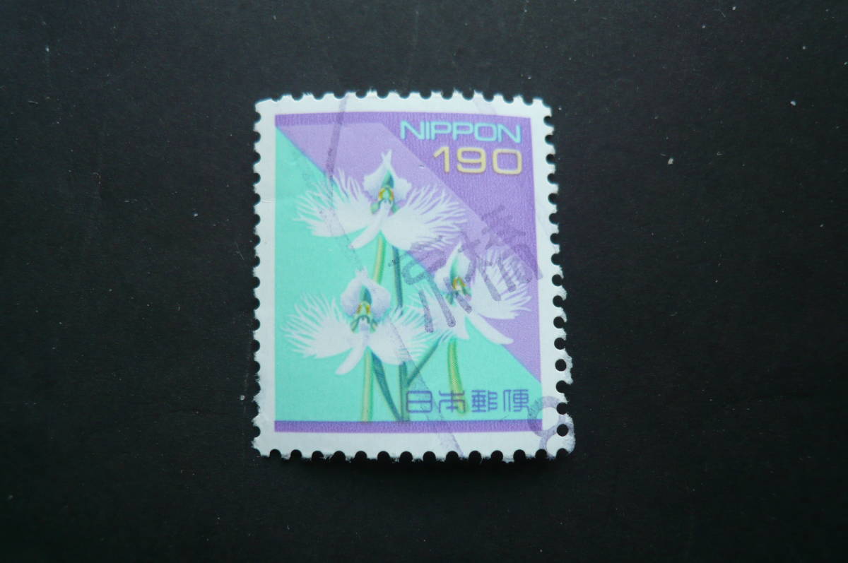 季節の花「さぎ草」１９０円 済品の画像3