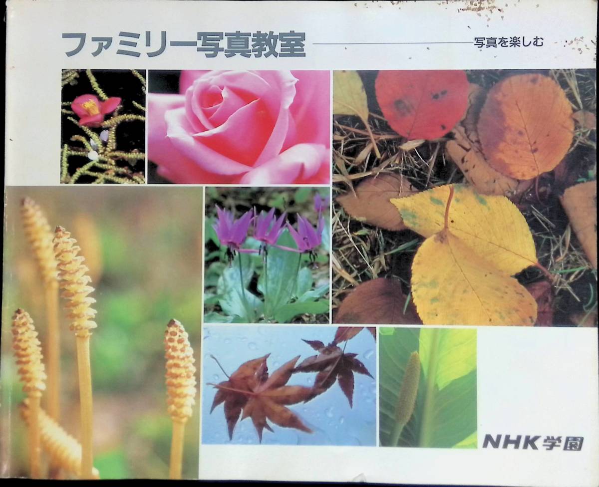 写真を楽しむ　ファミリー写真教室　NHK学園　YB230323K1_画像1