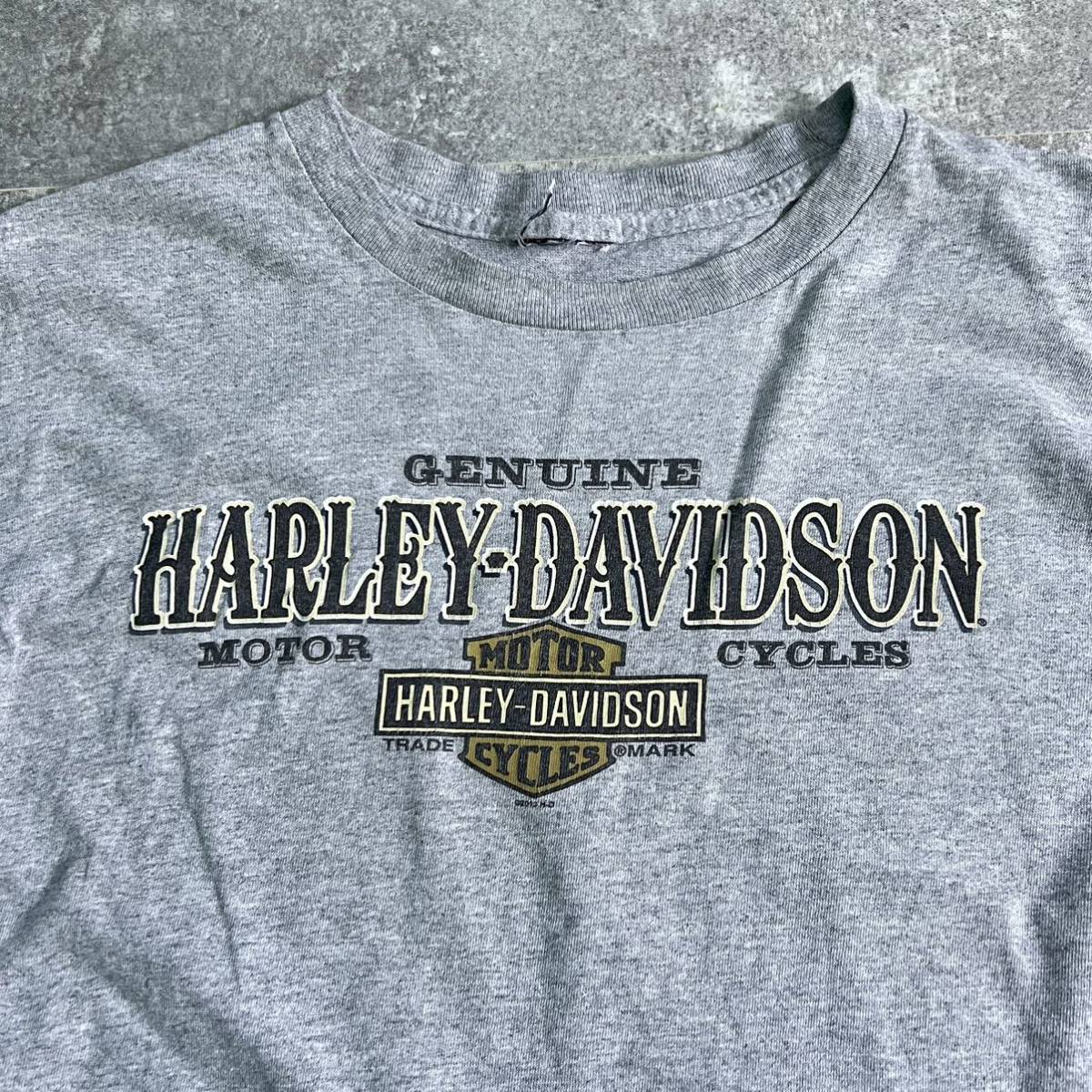 若者の大愛商品 【希少】Harley-Davidson ロングTシャツ ビッグサイズ