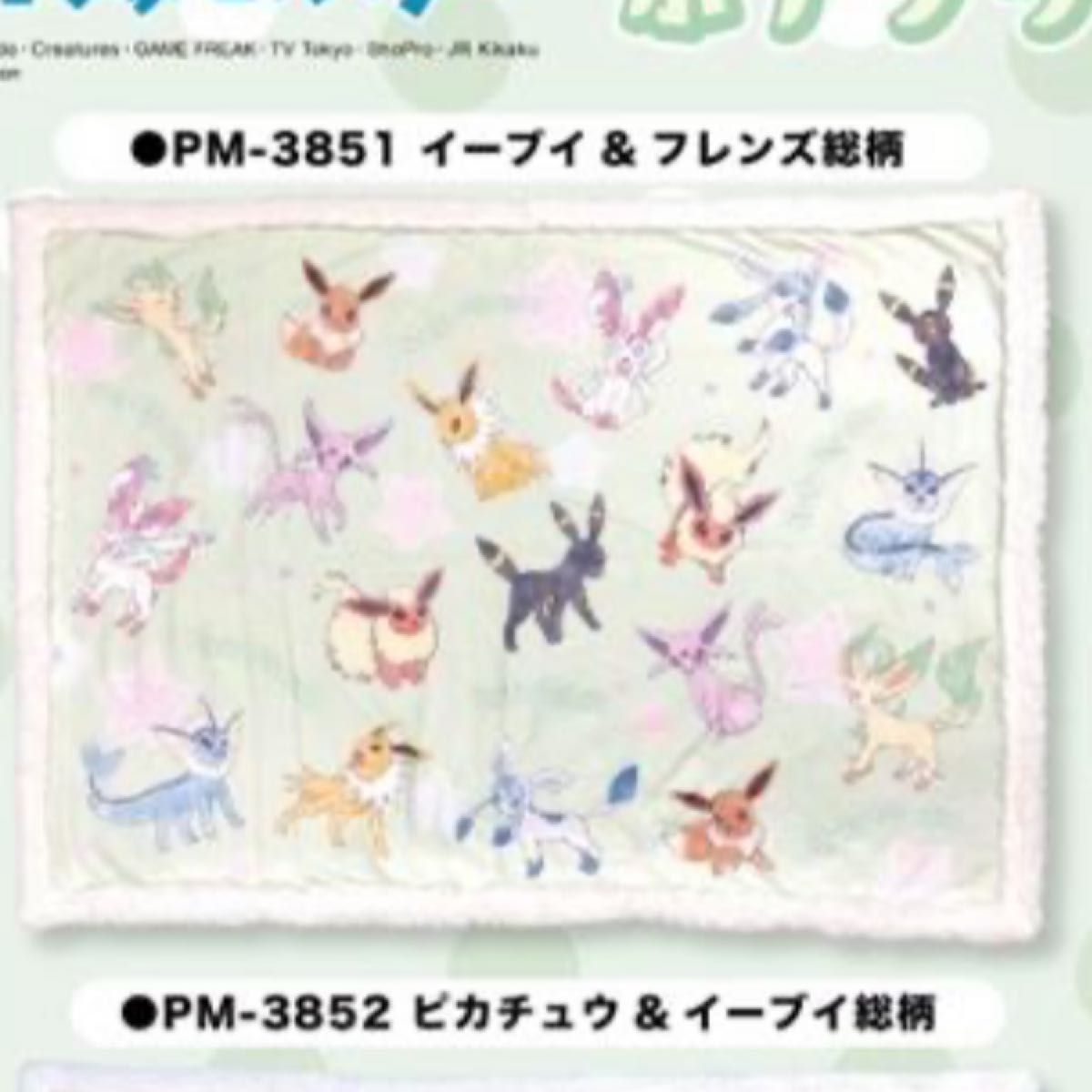 新品未使用 ポケッモンスター ボアブランケット イーブイ 新品未使用 ポケッモンスター ボアブランケット イーブイ