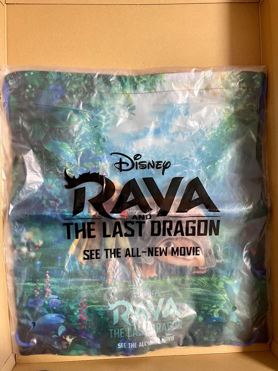 ディズニー ラーヤと龍の王国 ナップサック バッグ 当選商品 非売品 Disney  ビニールバッグ